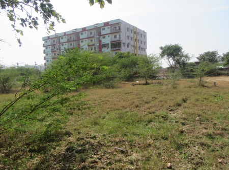 5) Li Id : 193 - Pic 6.JPG